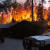 Permalink to: Arizona Wildfires forest and house on fire